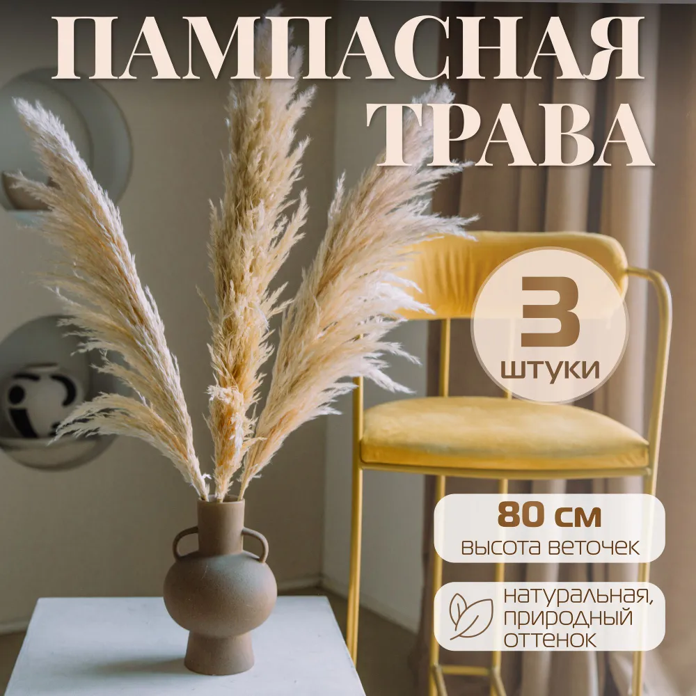 Сухоцветы пампасная трава AM HOME DECOR, 3 шт, 80 см