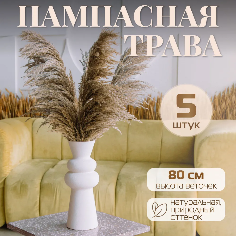 Сухоцветы пампасная трава кортадерия AM HOME DECOR, 5 шт, 80см