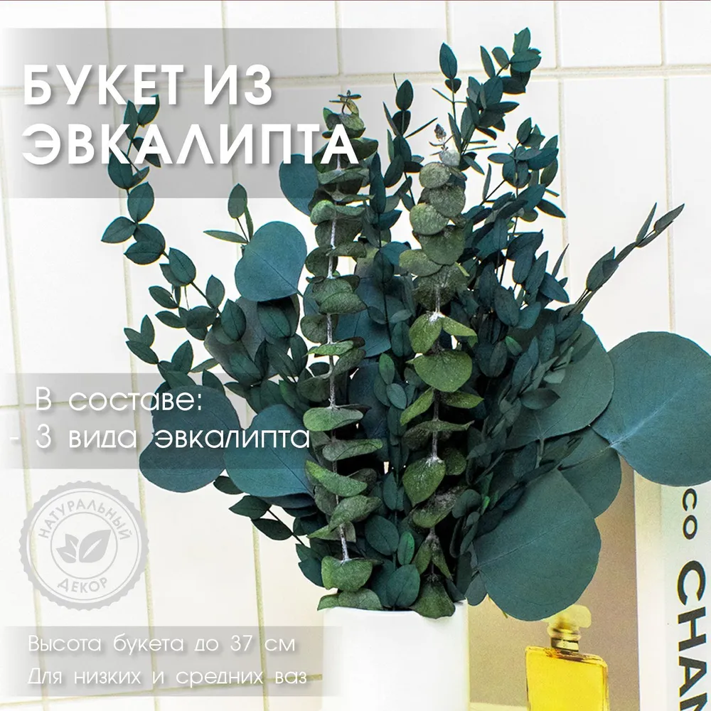 Стабилизированные цветы ENiNE decor Эвкалипт, 37 см, 60 гр