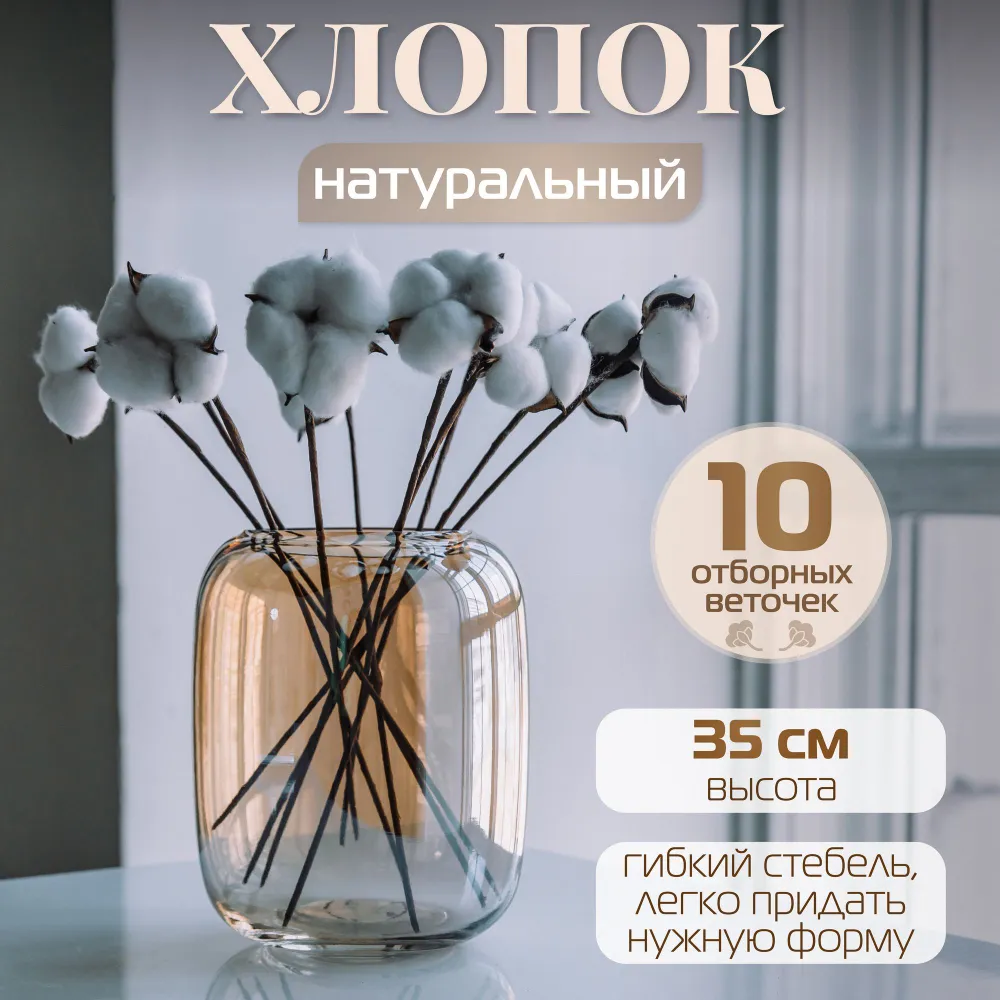 Сухоцветы хлопок натуральные декоративные AM HOME DECOR, 10 шт, 35 см