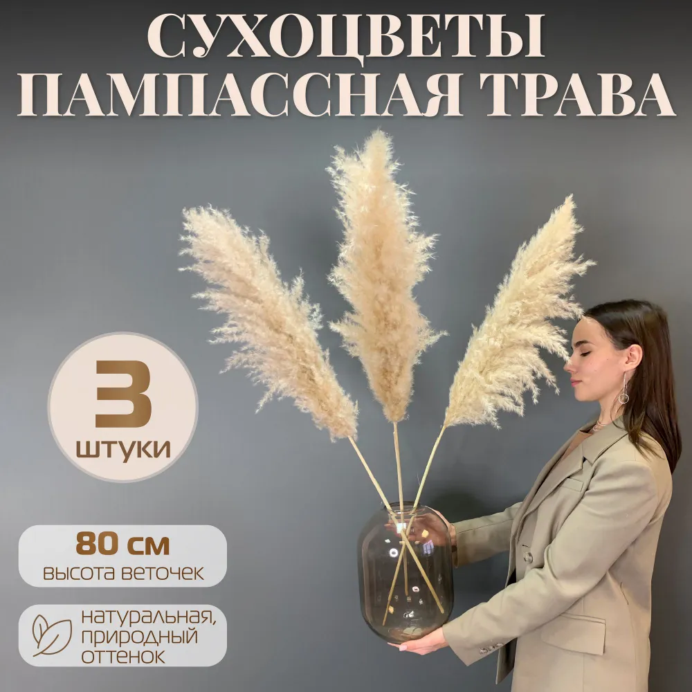 Сухоцветы пампасная трава AM HOME DECOR, 3 шт, 80 см