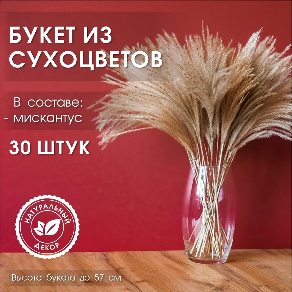 Букет из сухоцветов ENiNE decor Мискантус, Пампасная трава, 57 см, 20 гр